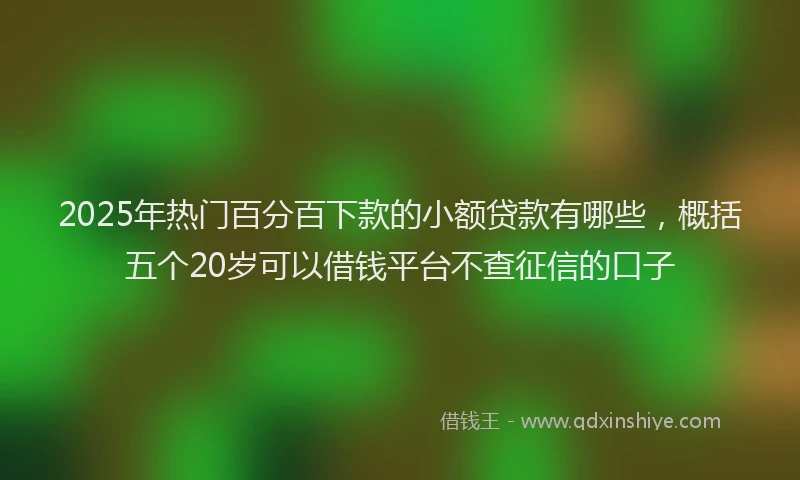 2025年热门百分百下款的小额贷款有哪些，概括五个20岁可以借钱平台不查征信的口子