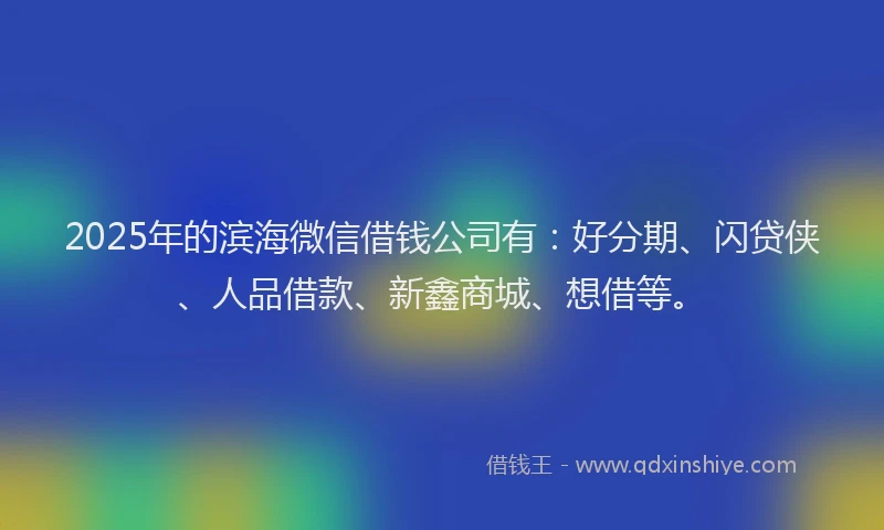 2025年的滨海微信借钱公司有：好分期、闪贷侠、人品借款、新鑫商城、想借等。