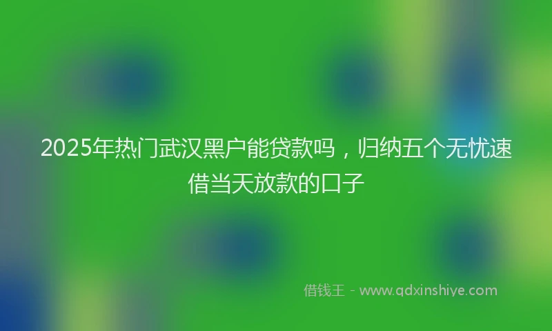2025年热门武汉黑户能贷款吗，归纳五个无忧速借当天放款的口子