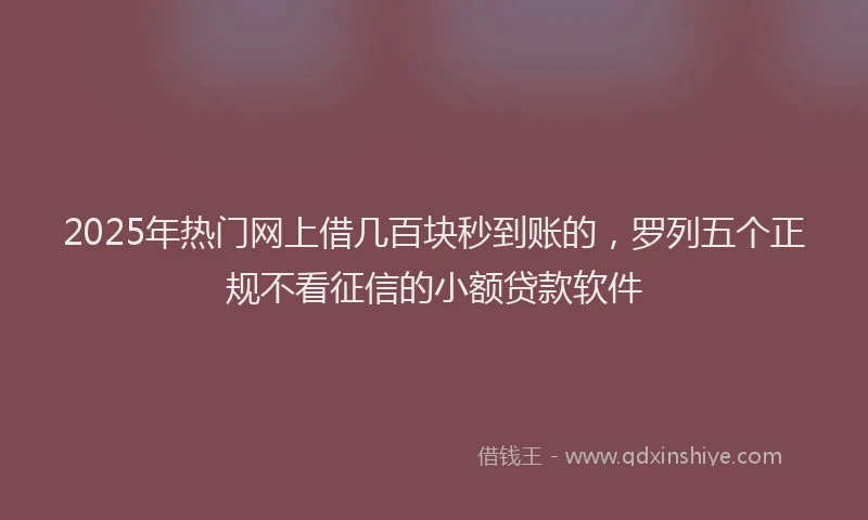 2025年热门网上借几百块秒到账的，罗列五个正规不看征信的小额贷款软件