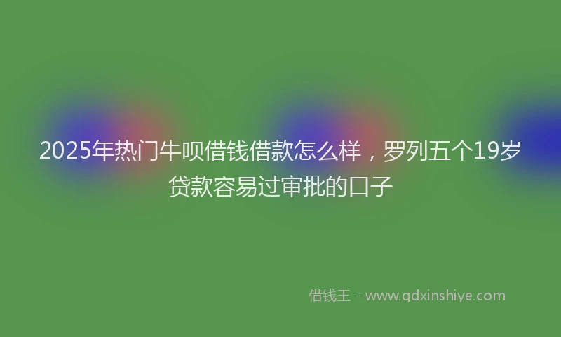 2025年热门牛呗借钱借款怎么样，罗列五个19岁贷款容易过审批的口子