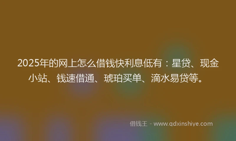2025年的网上怎么借钱快利息低有：星贷、现金小站、钱速借通、琥珀买单、滴水易贷等。