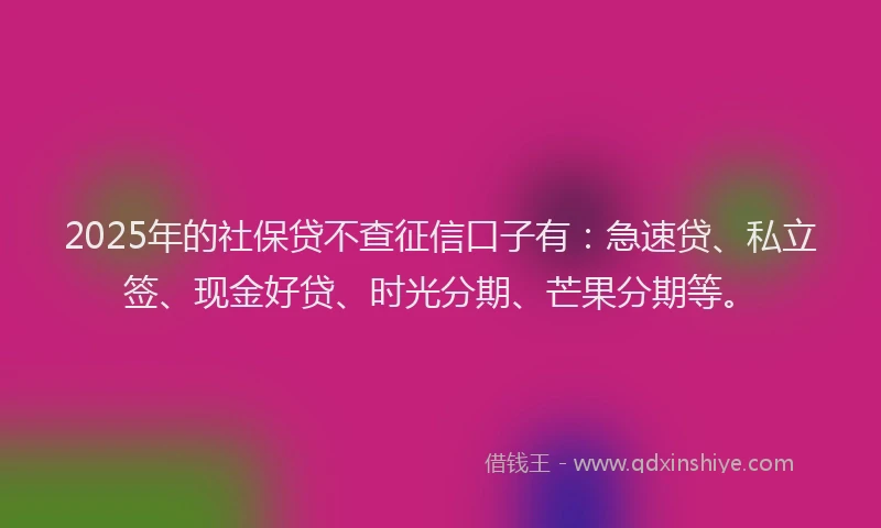 2025年的社保贷不查征信口子有：急速贷、私立签、现金好贷、时光分期、芒果分期等。