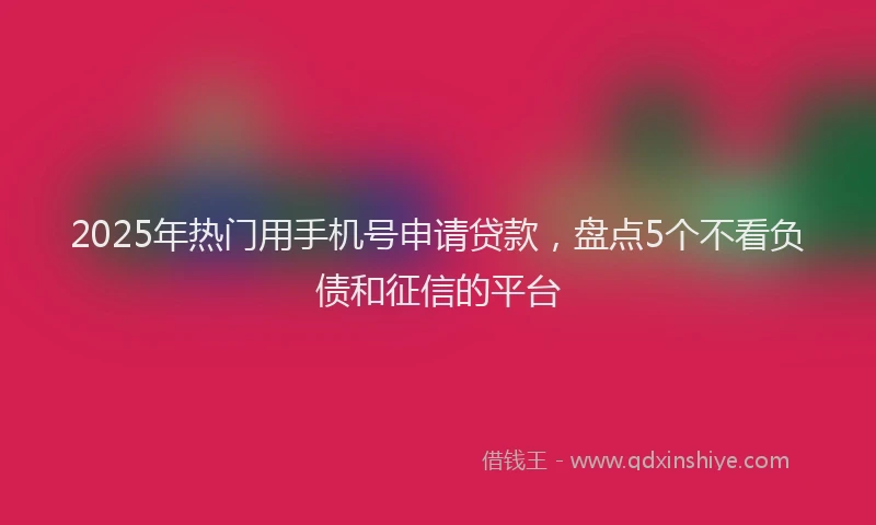 2025年热门用手机号申请贷款，盘点5个不看负债和征信的平台
