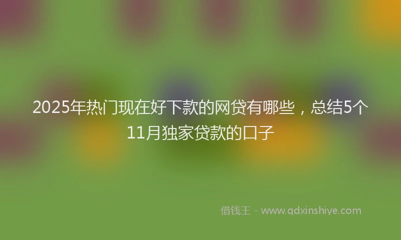 2025年热门现在好下款的网贷有哪些，总结5个11月独家贷款的口子