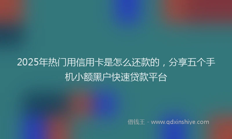 2025年热门用信用卡是怎么还款的，分享五个手机小额黑户快速贷款平台