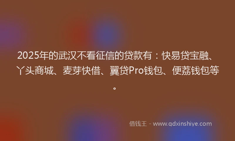 2025年的武汉不看征信的贷款有：快易贷宝融、丫头商城、麦芽快借、翼贷Pro钱包、便荔钱包等。