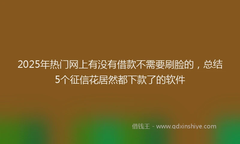 2025年热门网上有没有借款不需要刷脸的，总结5个征信花居然都下款了的软件