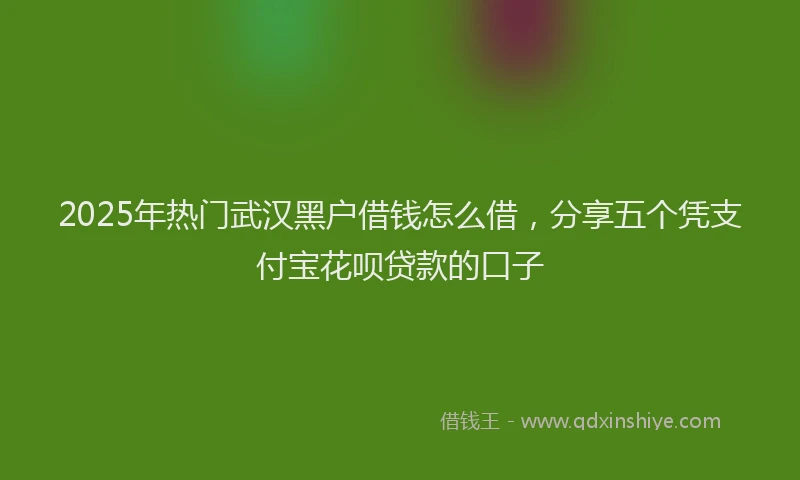2025年热门武汉黑户借钱怎么借，分享五个凭支付宝花呗贷款的口子