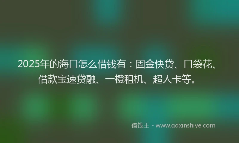 2025年的海口怎么借钱有：固金快贷、口袋花、借款宝速贷融、一橙租机、超人卡等。