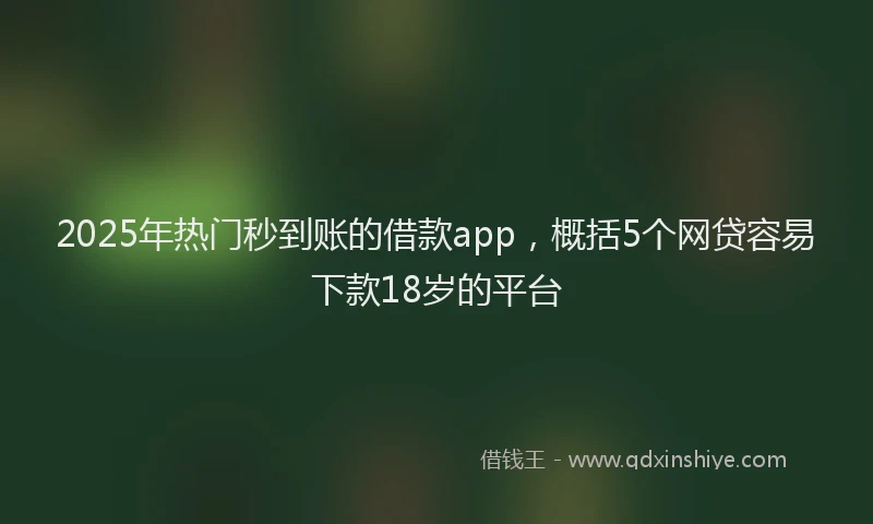 2025年热门秒到账的借款app，概括5个网贷容易下款18岁的平台
