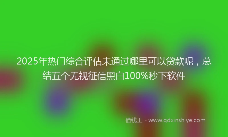 2025年热门综合评估未通过哪里可以贷款呢，总结五个无视征信黑白100%秒下软件