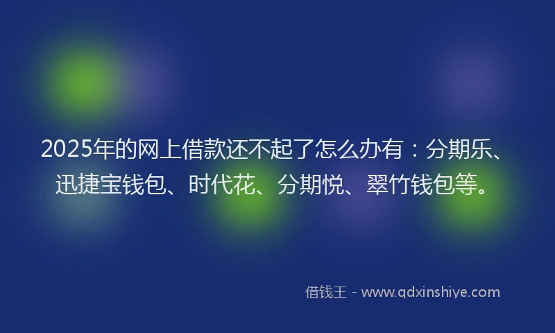 2025年的网上借款还不起了怎么办有：分期乐、迅捷宝钱包、时代花、分期悦、翠竹钱包等。