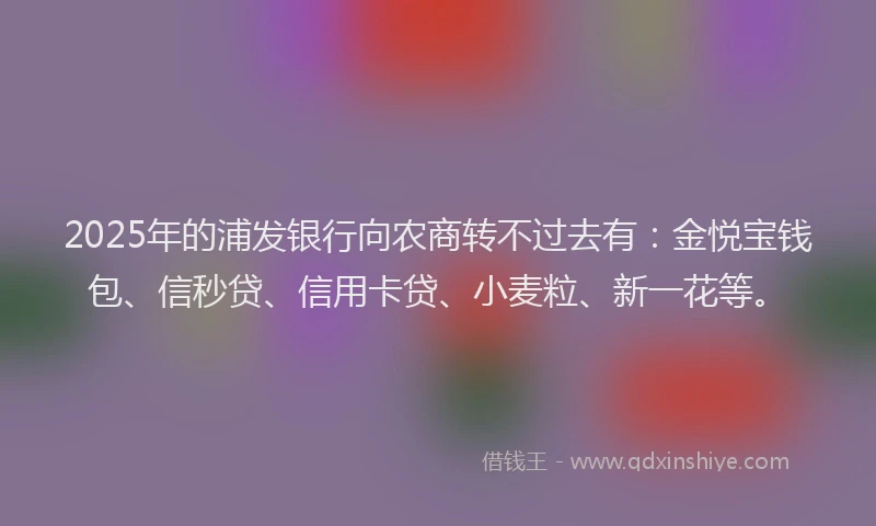 2025年的浦发银行向农商转不过去有：金悦宝钱包、信秒贷、信用卡贷、小麦粒、新一花等。