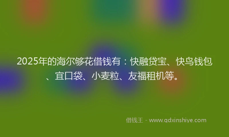 2025年的海尔够花借钱有：快融贷宝、快鸟钱包、宜口袋、小麦粒、友福租机等。