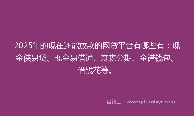 2025年的现在还能放款的网贷平台有哪些有：现金侠易贷、现金易借通、森森分期、金诺钱包、借钱花等。