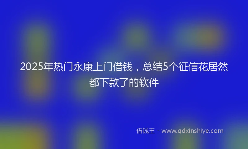 2025年热门永康上门借钱，总结5个征信花居然都下款了的软件