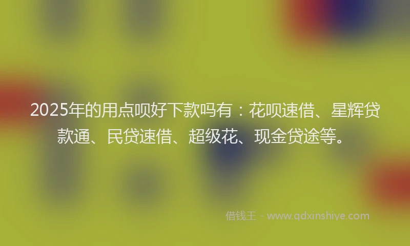 2025年的用点呗好下款吗有：花呗速借、星辉贷款通、民贷速借、超级花、现金贷途等。