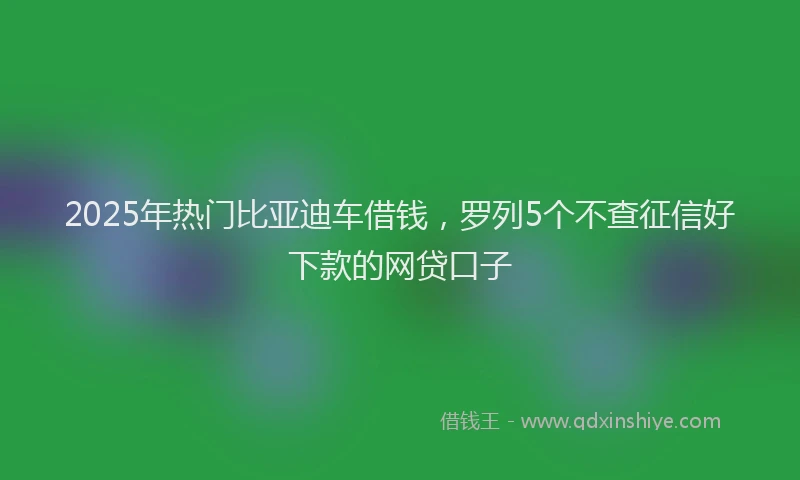 2025年热门比亚迪车借钱，罗列5个不查征信好下款的网贷口子