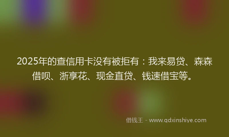 2025年的查信用卡没有被拒有：我来易贷、森森借呗、浙享花、现金直贷、钱速借宝等。