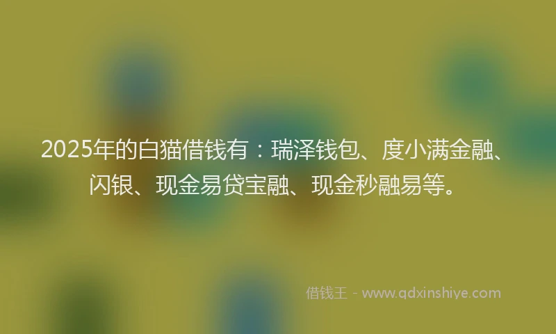 2025年的白猫借钱有：瑞泽钱包、度小满金融、闪银、现金易贷宝融、现金秒融易等。