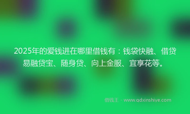 2025年的爱钱进在哪里借钱有：钱袋快融、借贷易融贷宝、随身贷、向上金服、宜享花等。