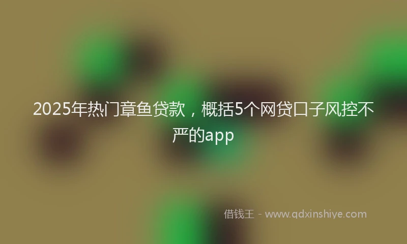 2025年热门章鱼贷款，概括5个网贷口子风控不严的app