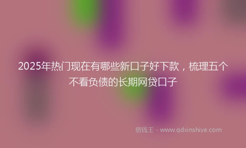 2025年热门现在有哪些新口子好下款，梳理五个不看负债的长期网贷口子
