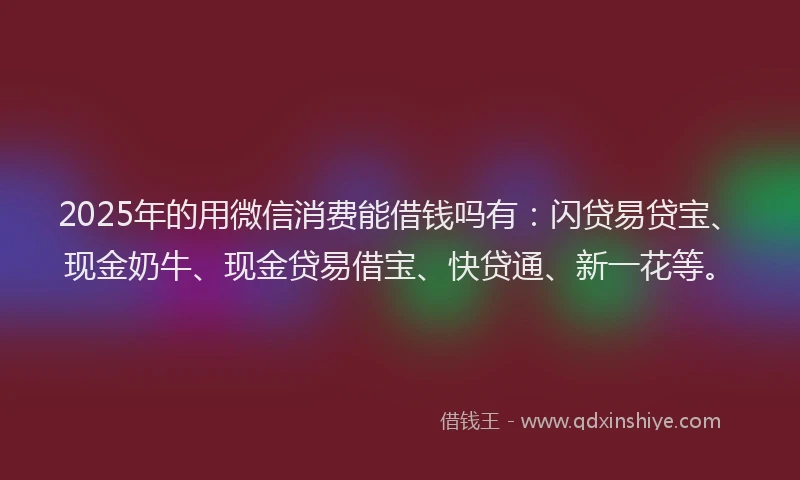2025年的用微信消费能借钱吗有：闪贷易贷宝、现金奶牛、现金贷易借宝、快贷通、新一花等。