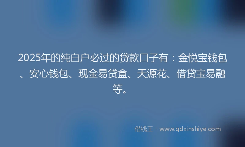 2025年的纯白户必过的贷款口子有：金悦宝钱包、安心钱包、现金易贷盒、天源花、借贷宝易融等。