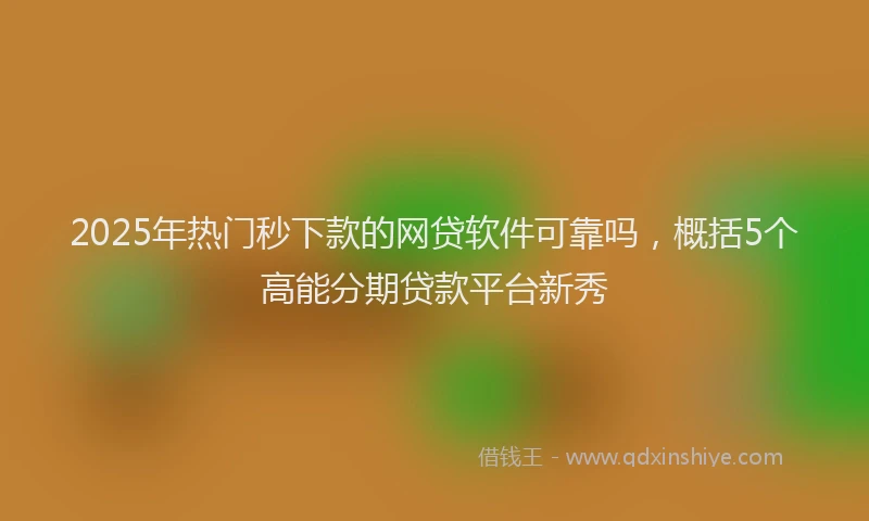 2025年热门秒下款的网贷软件可靠吗，概括5个高能分期贷款平台新秀