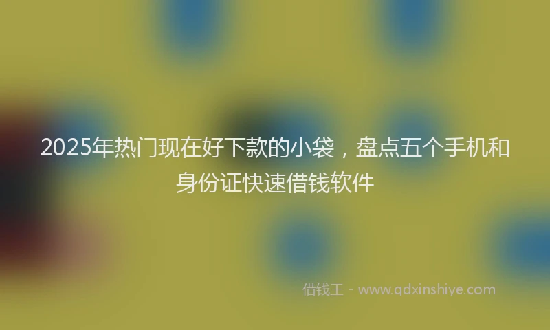 2025年热门现在好下款的小袋，盘点五个手机和身份证快速借钱软件