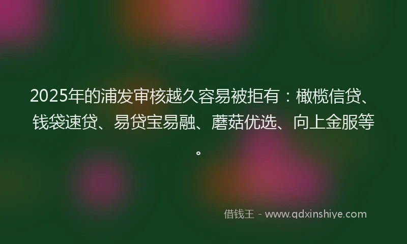 2025年的浦发审核越久容易被拒有：橄榄信贷、钱袋速贷、易贷宝易融、蘑菇优选、向上金服等。