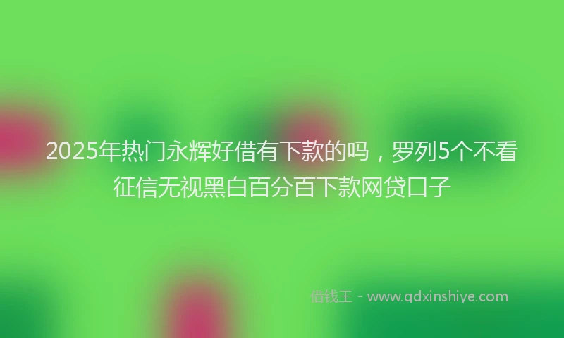 2025年热门永辉好借有下款的吗，罗列5个不看征信无视黑白百分百下款网贷口子