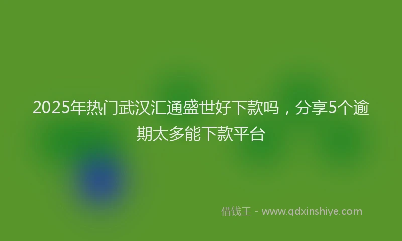 2025年热门武汉汇通盛世好下款吗，分享5个逾期太多能下款平台