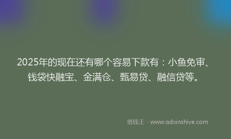 2025年的现在还有哪个容易下款有：小鱼免审、钱袋快融宝、金满仓、甄易贷、融信贷等。