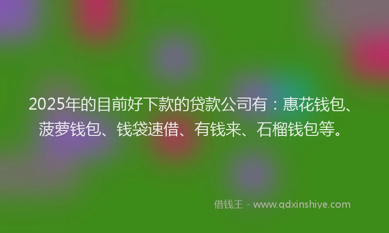 2025年的目前好下款的贷款公司有：惠花钱包、菠萝钱包、钱袋速借、有钱来、石榴钱包等。