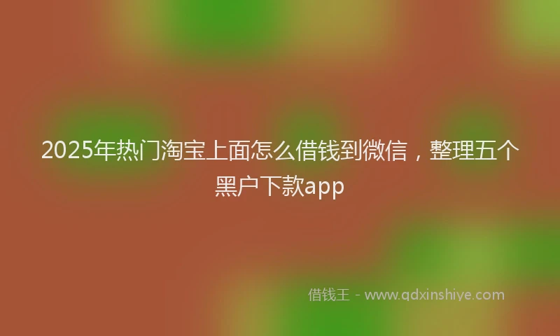 2025年热门淘宝上面怎么借钱到微信，整理五个黑户下款app