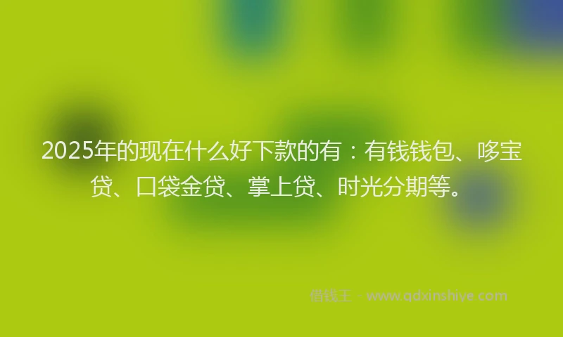 2025年的现在什么好下款的有：有钱钱包、哆宝贷、口袋金贷、掌上贷、时光分期等。