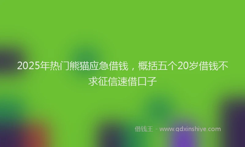 2025年热门熊猫应急借钱，概括五个20岁借钱不求征信速借口子