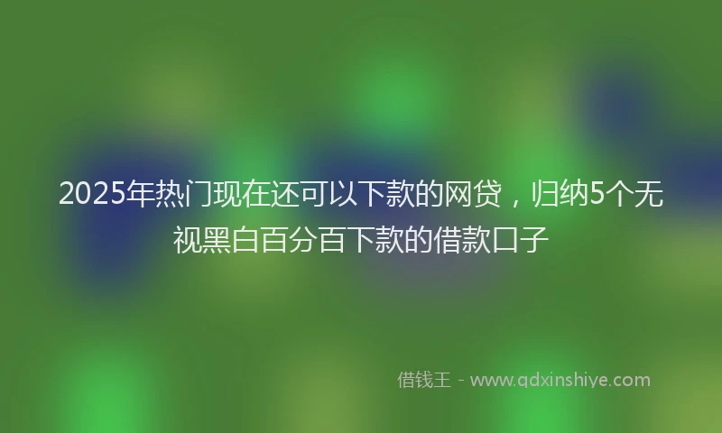 2025年热门现在还可以下款的网贷，归纳5个无视黑白百分百下款的借款口子