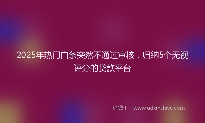 2025年热门白条突然不通过审核，归纳5个无视评分的贷款平台