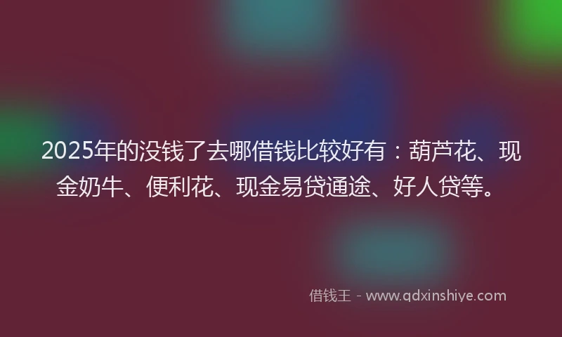 2025年的没钱了去哪借钱比较好有：葫芦花、现金奶牛、便利花、现金易贷通途、好人贷等。