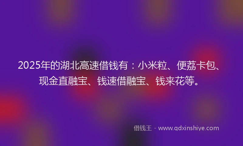 2025年的湖北高速借钱有：小米粒、便荔卡包、现金直融宝、钱速借融宝、钱来花等。