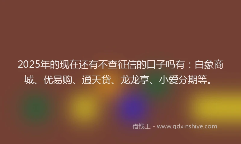 2025年的现在还有不查征信的口子吗有：白象商城、优易购、通天贷、龙龙享、小爱分期等。