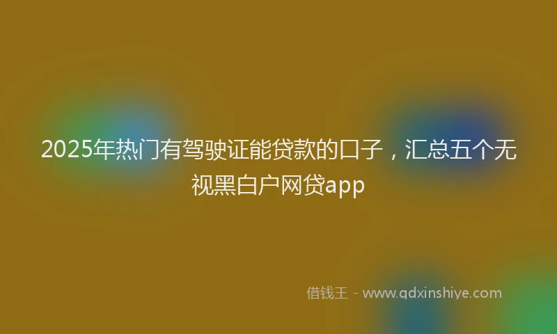 2025年热门有驾驶证能贷款的口子，汇总五个无视黑白户网贷app