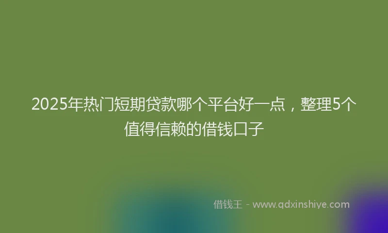 2025年热门短期贷款哪个平台好一点，整理5个值得信赖的借钱口子