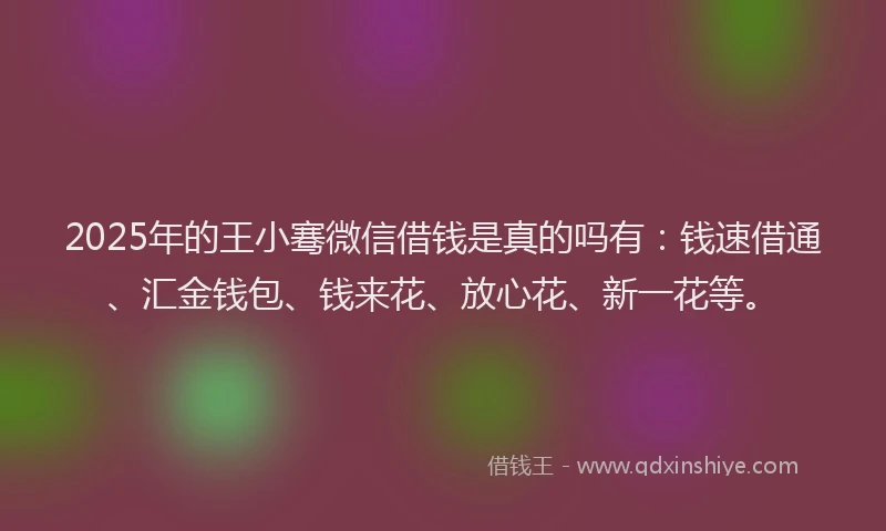 2025年的王小骞微信借钱是真的吗有：钱速借通、汇金钱包、钱来花、放心花、新一花等。