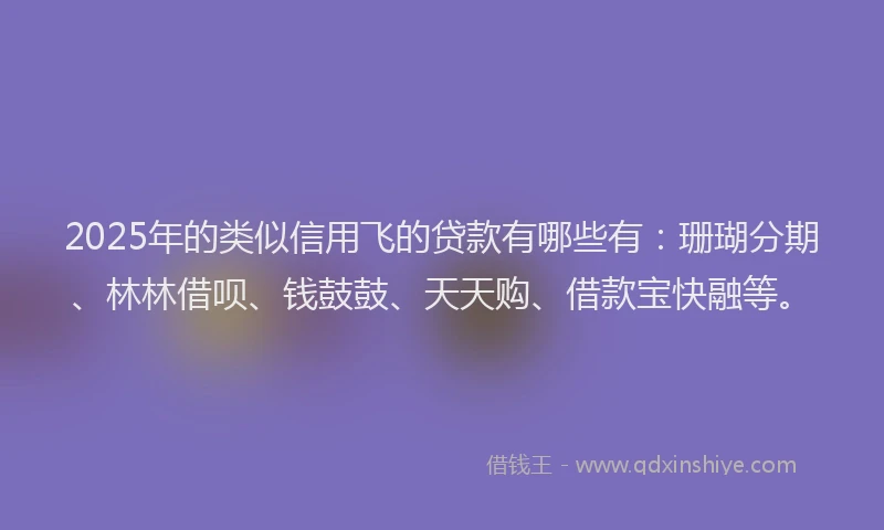 2025年的类似信用飞的贷款有哪些有：珊瑚分期、林林借呗、钱鼓鼓、天天购、借款宝快融等。