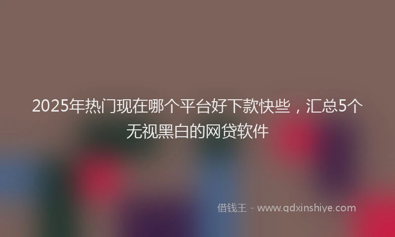 2025年热门现在哪个平台好下款快些，汇总5个无视黑白的网贷软件
